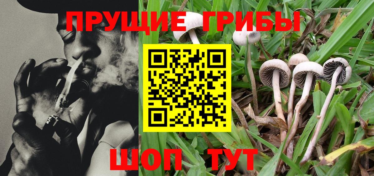 Гусь-Хрустальный  Галлюциногенные грибы Psilocybe  Вход с VPN  Галлюциногенные грибы мицелий 