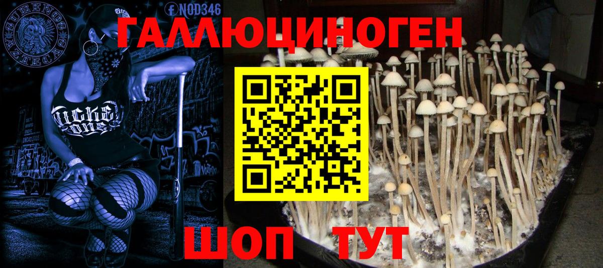 Псилоцибиновые грибы мицелий Гусь-Хрустальный
